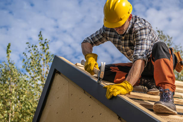 Best Storm Damage Roof Repair  in Dawson, MN